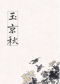 玉京秋（古言 产乳）玉京秋（古言 产乳）